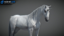 3d unicorn rigged and animated