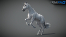 3d unicorn rigged and animated