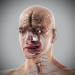 Anatomy Male Full 091