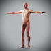 Anatomy Male Full 018