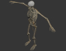 Skeletal_Nervous_08