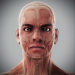 Human Male and Female Complete Anatomy 11