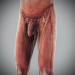 Human Male and Female Complete Anatomy 69