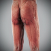 Human Male and Female Complete Anatomy 75