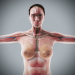 Human Male and Female Complete Anatomy 05