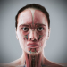 Human Male and Female Complete Anatomy 12