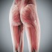 Human Male and Female Complete Anatomy 78