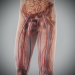 Human Male and Female Complete Anatomy 71
