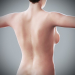 Human Male and Female Complete Anatomy 64