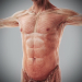Human Male and Female Complete Anatomy 53