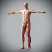 Human Male and Female Complete Anatomy 44