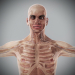 Human Male and Female Complete Anatomy 03