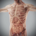 Human Male and Female Complete Anatomy 55