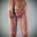 Human Male and Female Complete Anatomy 76