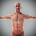 Human Male and Female Complete Anatomy 25