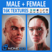 Human Male and Female Anatomy 3d