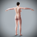 Female_Anatomy_Complete_39