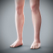 Female_Anatomy_Complete_54