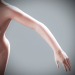 Female_Anatomy_Complete_58
