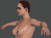 Female_Anatomy_Complete_23