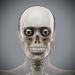 Female_Skeletal_02