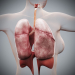 Female_Respiratory_09