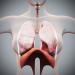 Female_Respiratory_01
