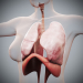 Female_Respiratory_08