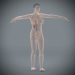 Female_Lymphatic_11