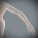 Female_Lymphatic_18