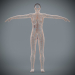 Female_Lymphatic_06