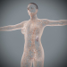Female_Lymphatic_01