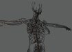Female_Lymphatic_09