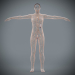Female_Lymphatic_05