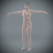 Female_Lymphatic_10