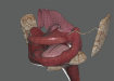 Female_Digestive_08