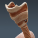 female_anatomy_internal_organs_07