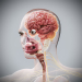 Female_Internal_Organs_01