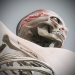 Female_Skeletal_Nervous_13