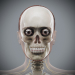 Female_Skeletal_Nervous_02