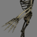 SkeletonMaxRigged_th026