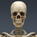 SkeletonMaxRigged_th014