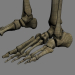 SkeletonMaxRigged_th025