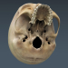 3D Anatomy Male Rigged Animated Maya 32