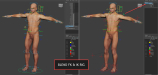 3D Anatomy Male Rigged Animated Maya 04