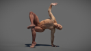3D Anatomy Male Rigged Animated Maya 14