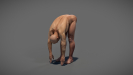 3D Anatomy Male Rigged Animated Maya 15