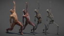 3D Anatomy Male Rigged Animated Maya 03
