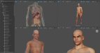 3D Anatomy Male Rigged Animated Maya 12
