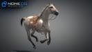 3D Horses Maya VRay